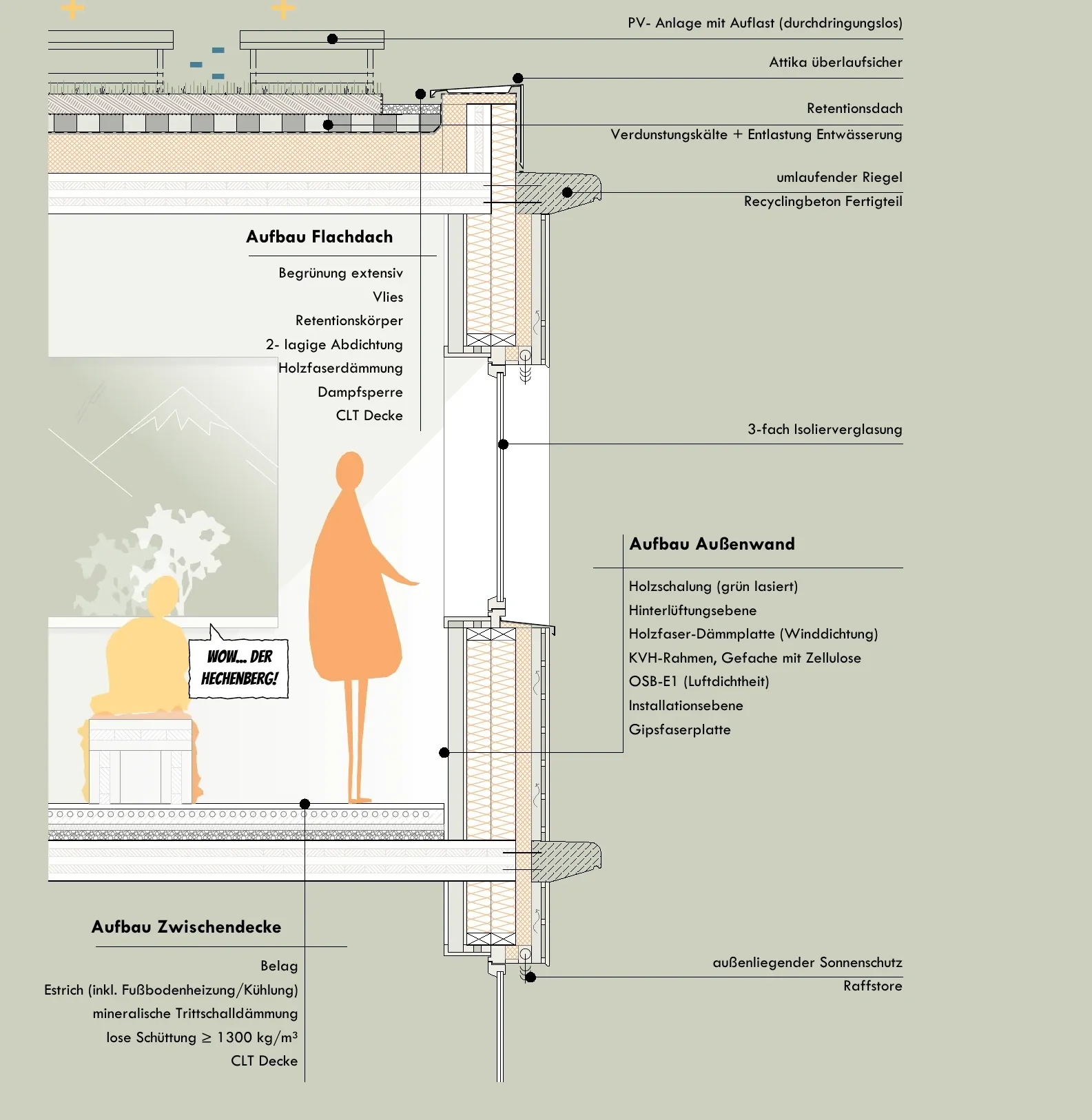 Fassadenschnitt – Aufbau von Flachdach, Außenwand und Zwischendecke in Holzbauweise