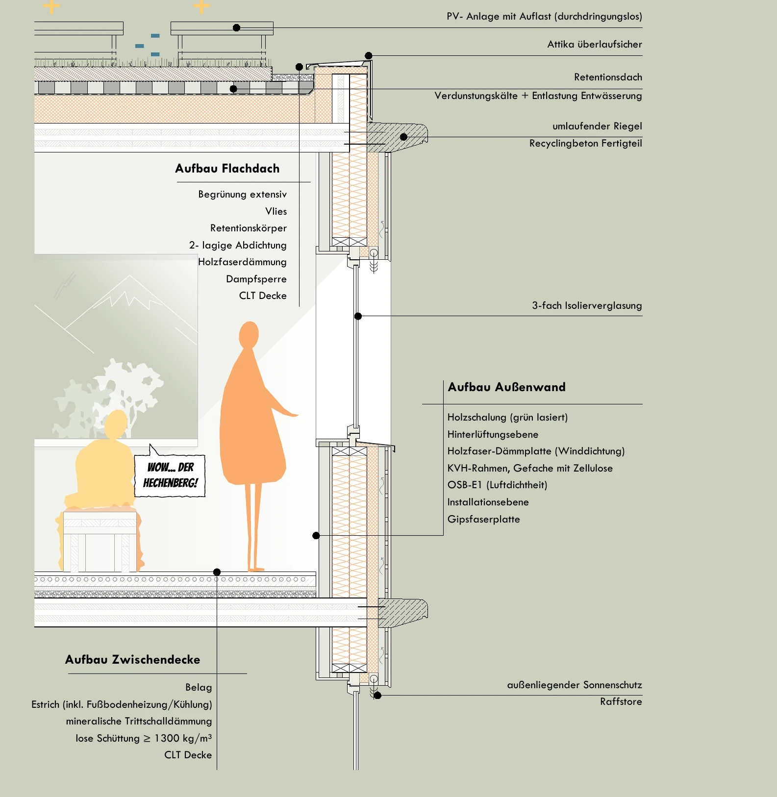 Fassadenschnitt – Aufbau von Flachdach, Außenwand und Zwischendecke in Holzbauweise