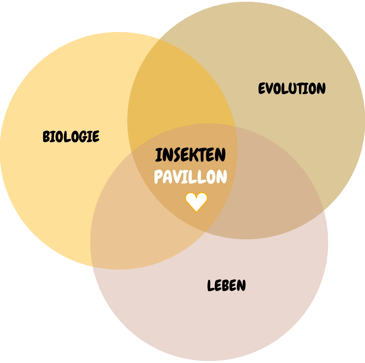 Konzeptdiagramm: drei überlagerte Kreise für Biologie, Evolution und Leben – in der Schnittmenge der Insektenpavillon