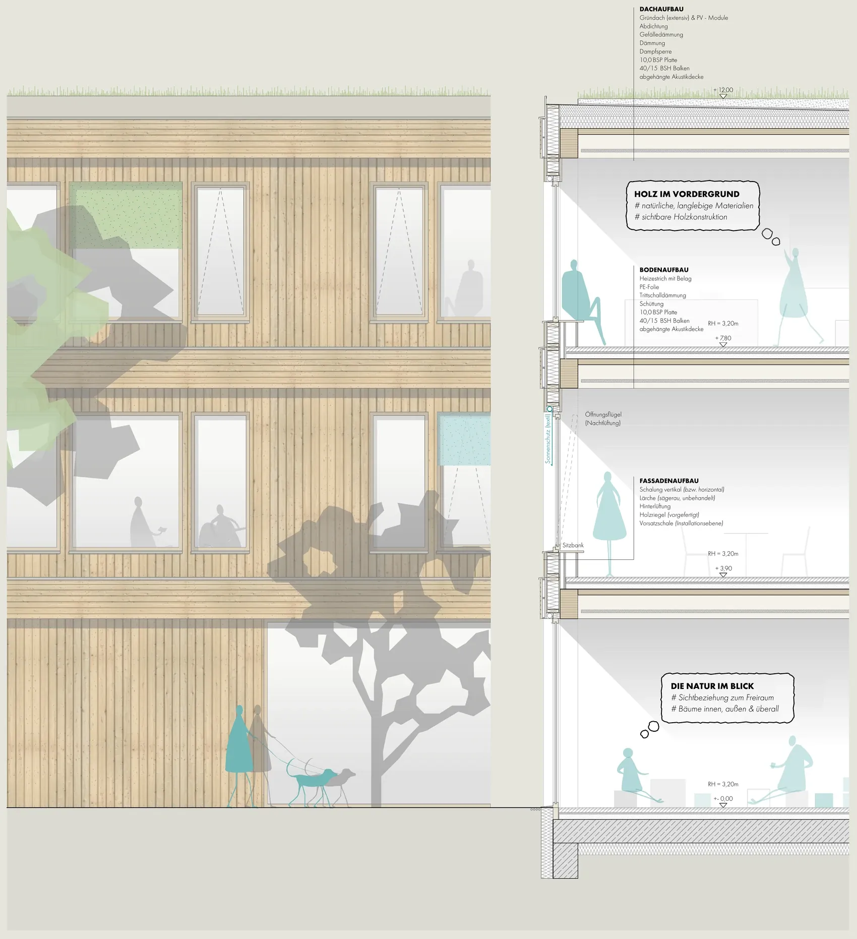Fassadenschnitt 1:50 – Holzfassade mit sägerauer Lärchenschalung und Schnittdetail mit Boden- und Fassadenaufbau